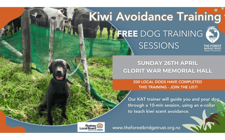 Whats On April 1414 x 884 px 2026 copy 768x480