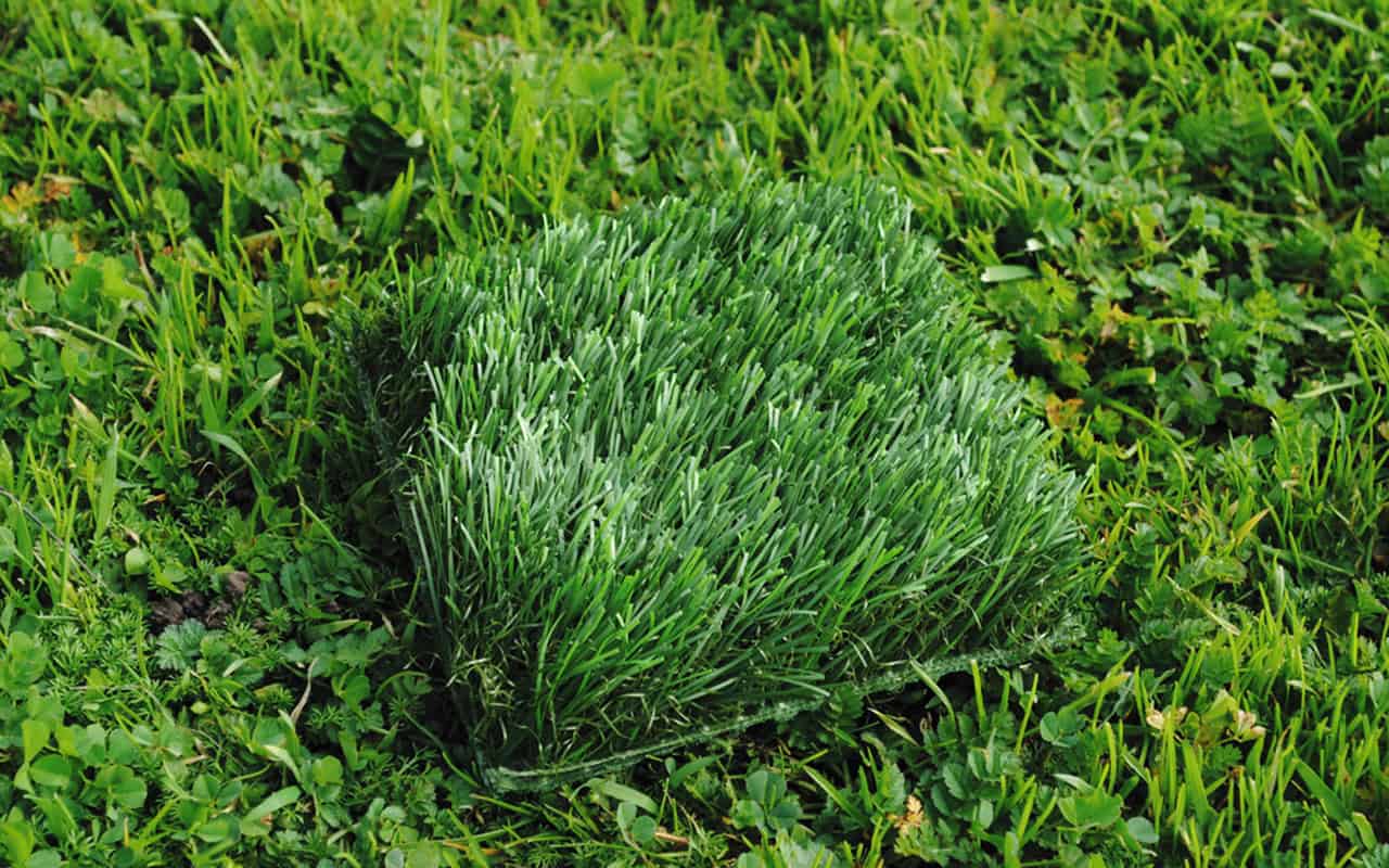 General Election 2026 " What is astroturfing and how to spot it