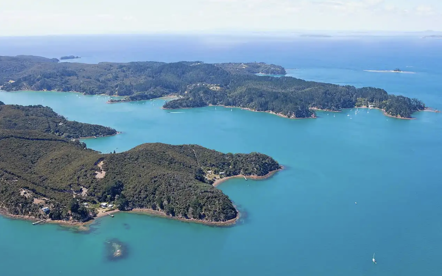 Man critically injured in hunting incident Kawau Island